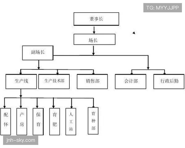 埃里克森的战术适配性如何影响其中场组织作用？